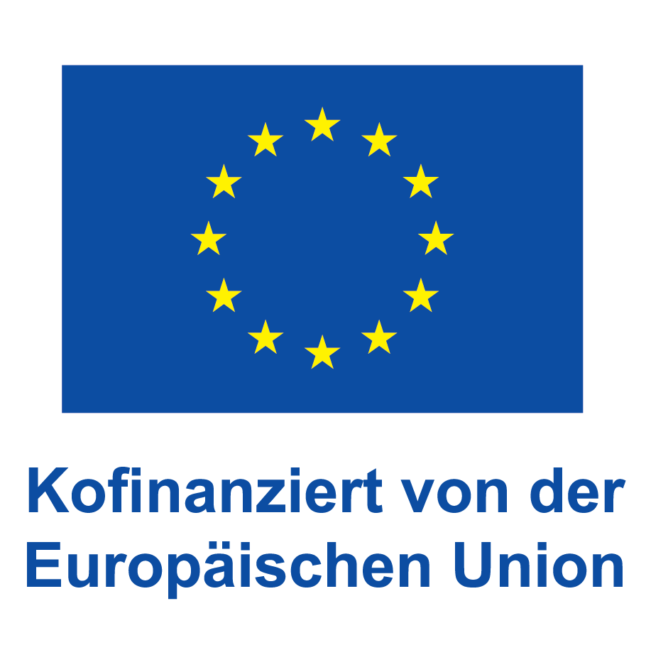 DE V Kofinanziert von der Europäischen Union_POS